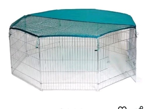 Bunny business rabbit play pen - rabbit,