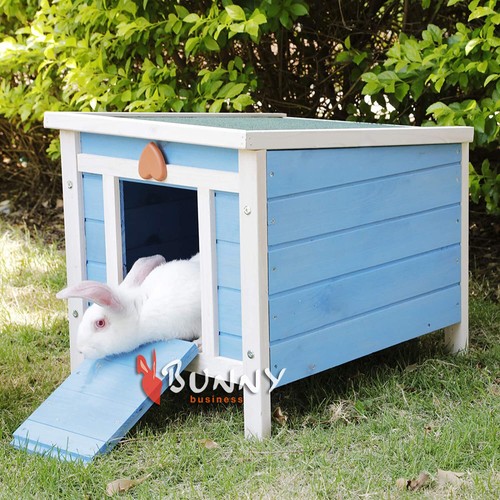 Rabbit hutch blue - rabbit,