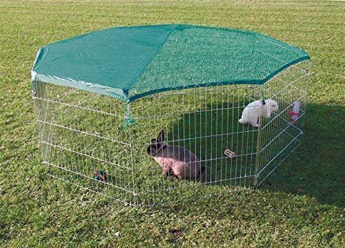Extra large panel dog - dog, puppy