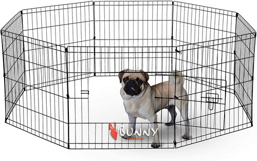 Bunny business panel - business,
