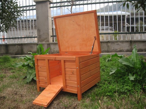 Giant hide house for - hide,