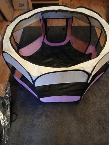 Bunny business fabric pet - business,