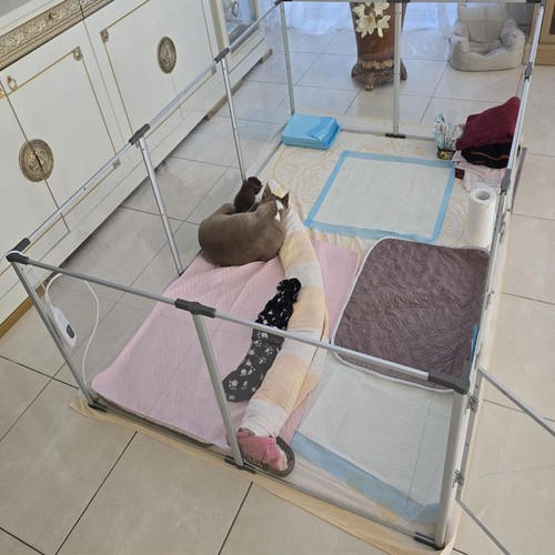 Clear acrylic dog playpen - clear,