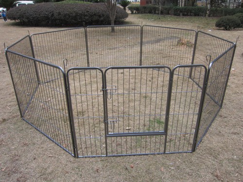 Heavy duty puppy play - heavy, pen